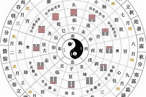 天干透出意思|天干透出的条件是什么？十神在天干透出的命运如何？